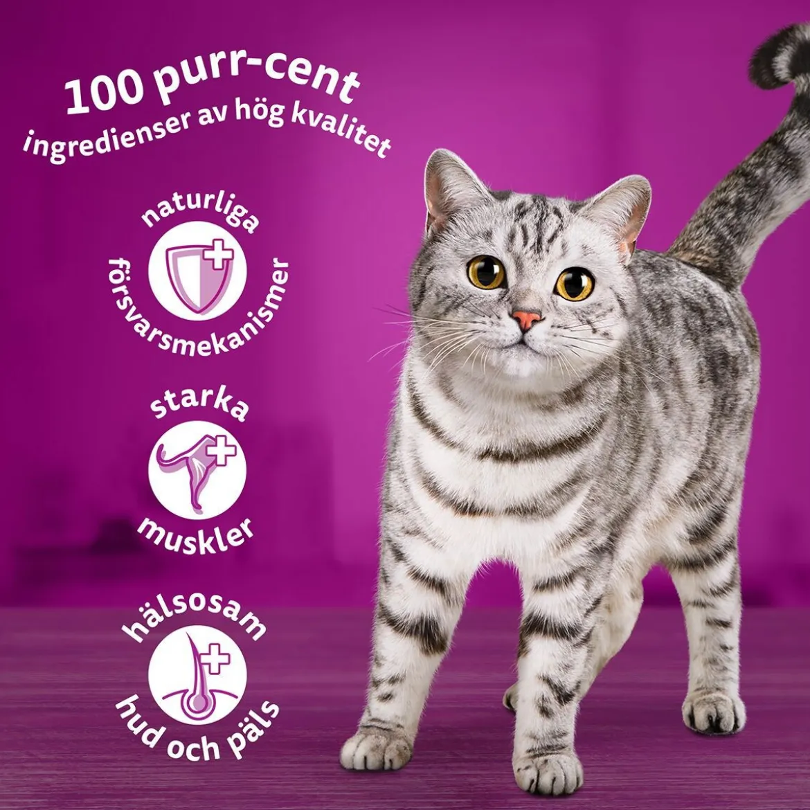 Whiskas 1+med Oxe, Lamm och Kyckling i Gelé60x85 g