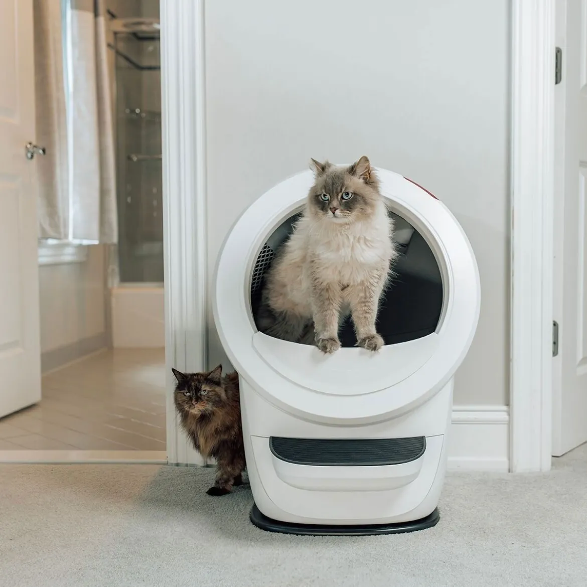 Whisker Litter-Robot 4 Självrengörande Kattlåda Vit