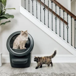 Whisker Litter-Robot 4 Självrengörande Kattlåda Svart