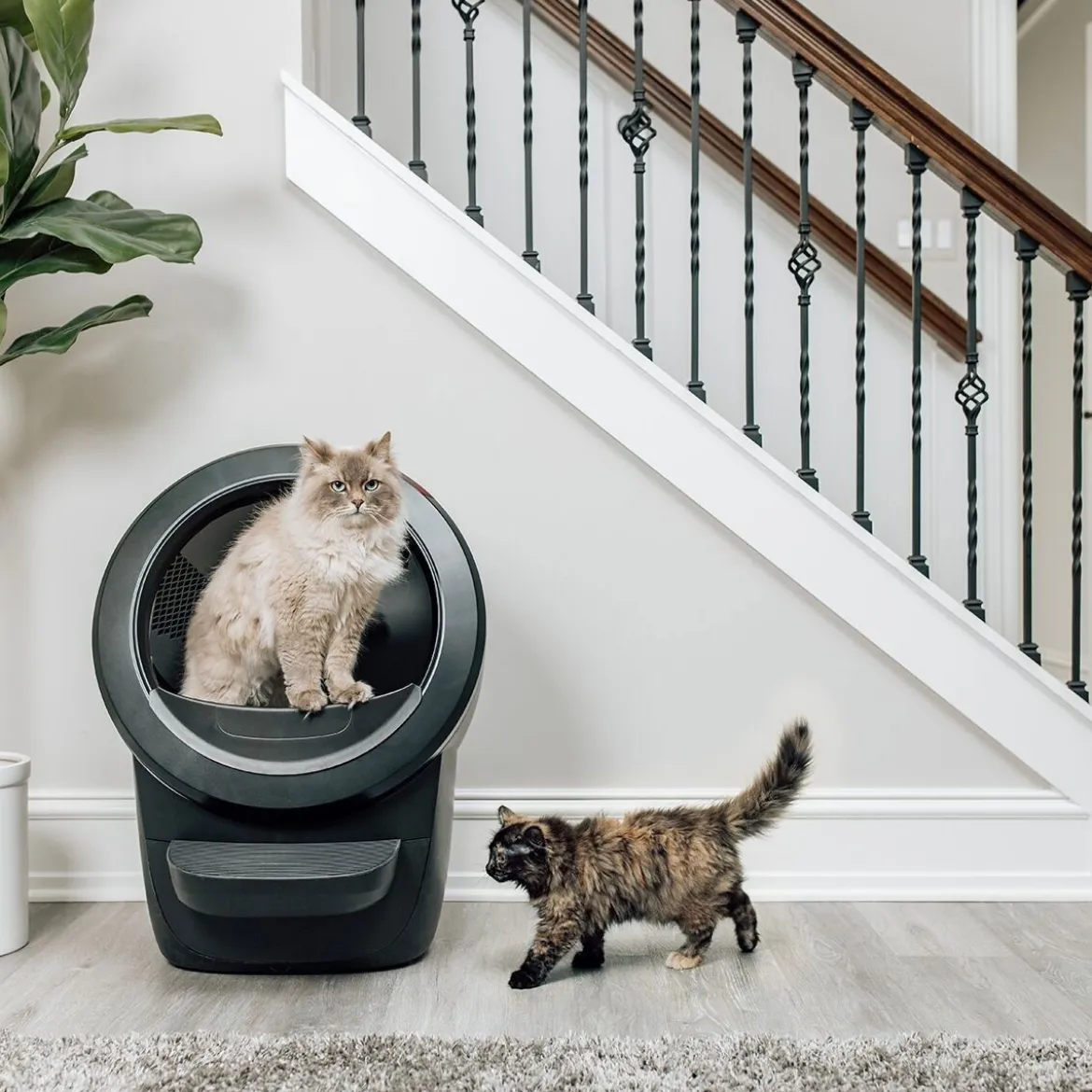 Whisker Litter-Robot 4 Självrengörande Kattlåda Svart