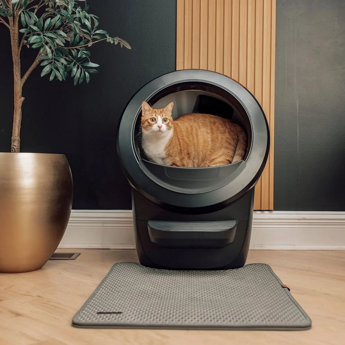 Whisker Litter-Robot 4 Självrengörande Kattlåda Svart