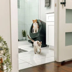 Whisker Litter-Robot 4 Självrengörande Kattlåda Svart