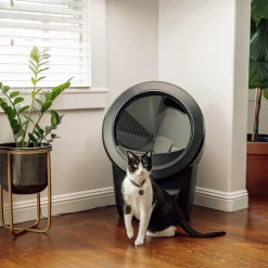 Whisker Litter-Robot 4 Självrengörande Kattlåda Svart