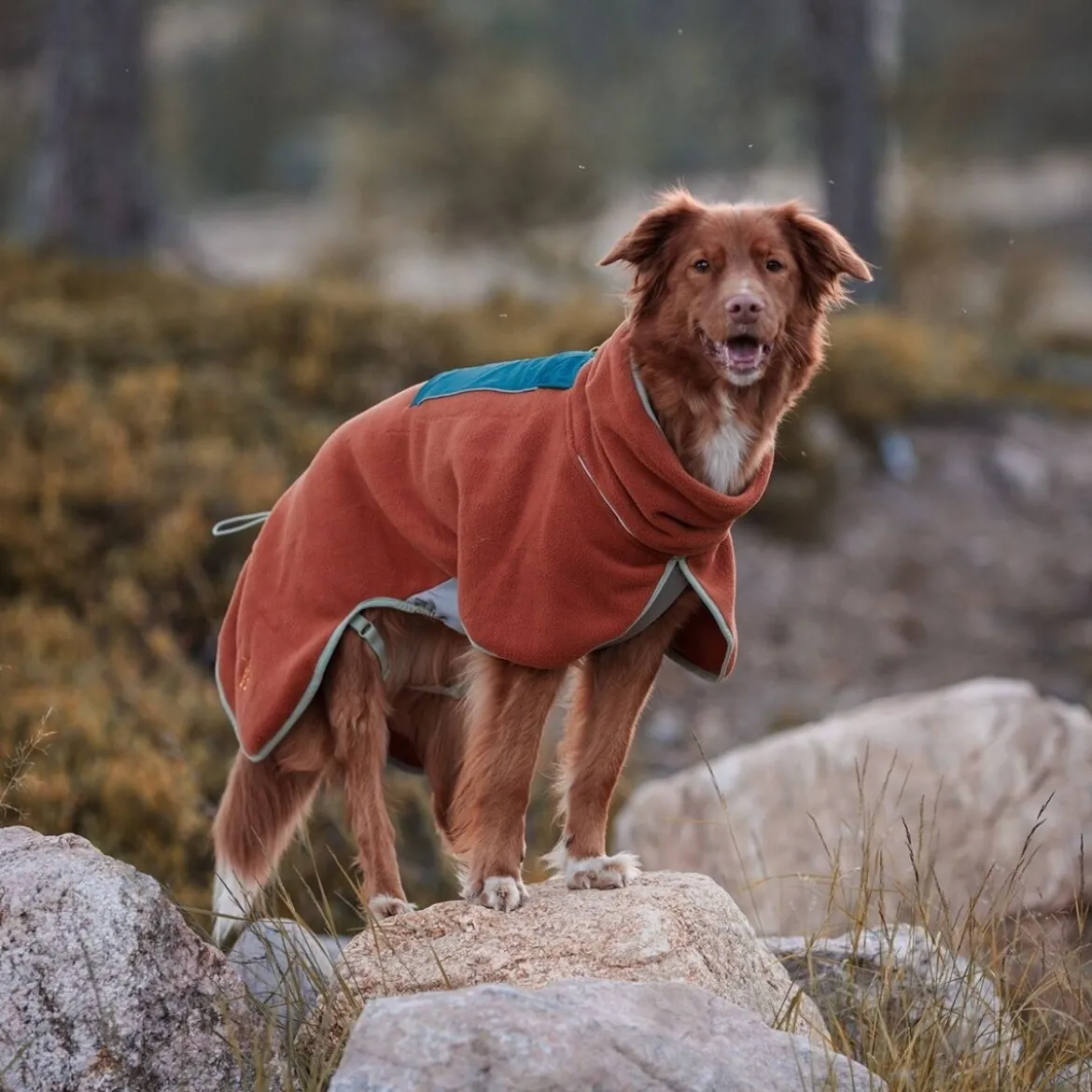 Woolly Wolf Alpha 360 Fleecetäcke Hund Ljusbrun