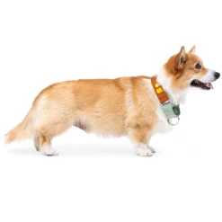 Woolly Wolf Color Block Halvstryp Halsband Terracotta Mix