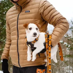 Woolly Wolf Hundkoppel Ljusbrun med Mönster