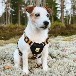 Woolly Wolf Hundsele Ljusbrun med Mönster