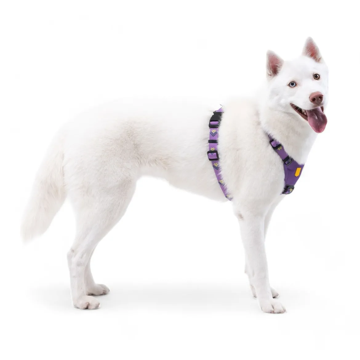 Woolly Wolf Northern Lights Hundsele Lila