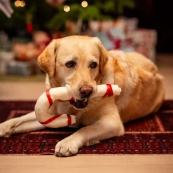 Xmas Julkäpp Tuggben till Hund