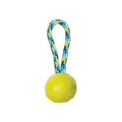 Zeus Fitness TPR-boll med Rephandtag